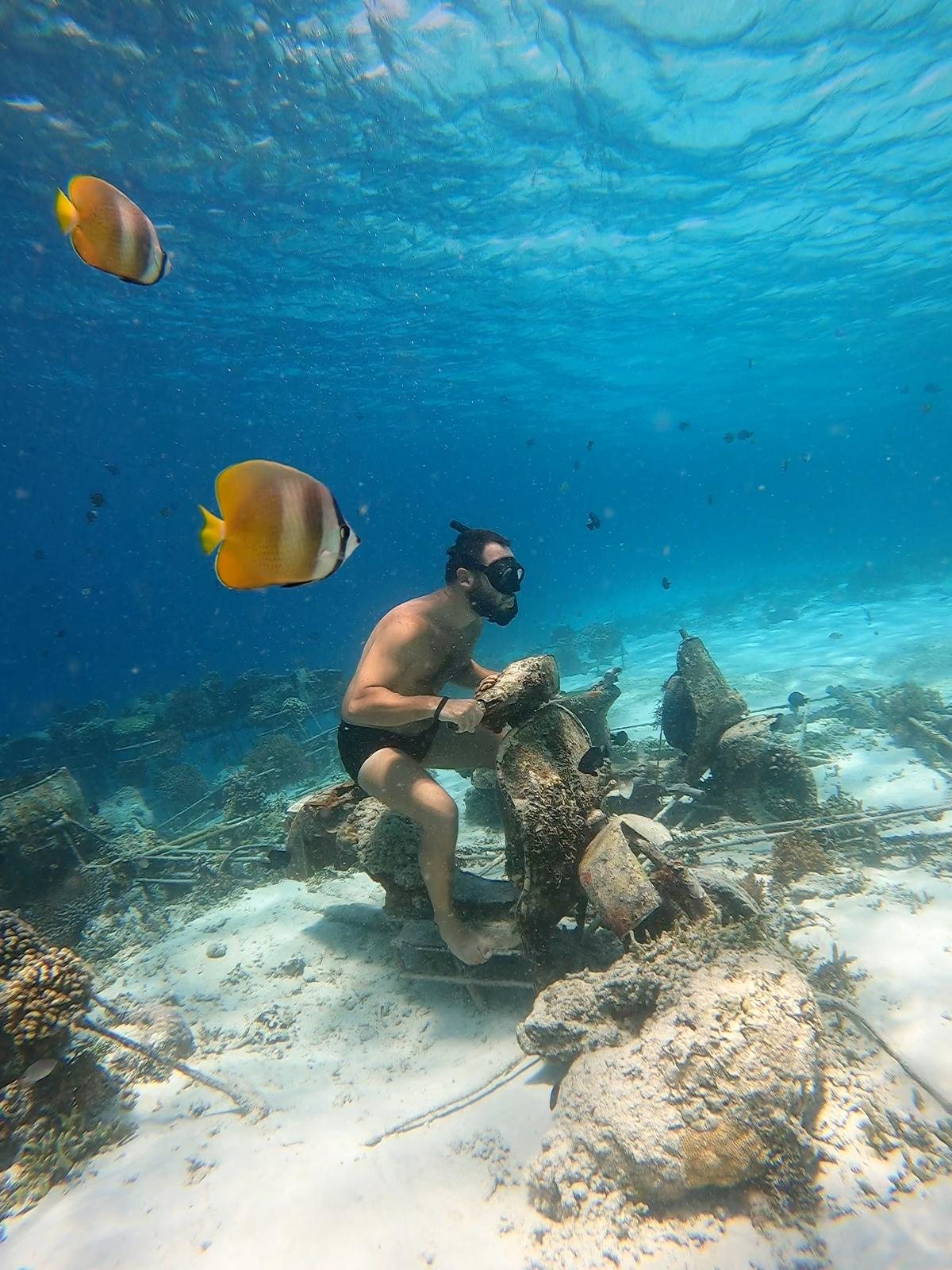 Snorkelling with fish, Bali