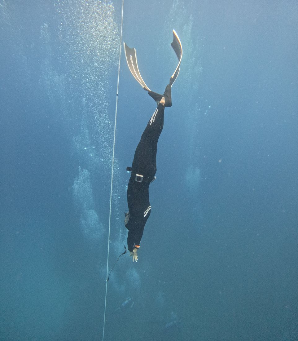 Bi-fins descent on the line