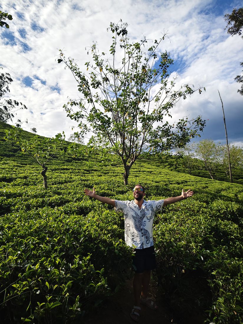 In the tea country of the Sri Lankan highlands