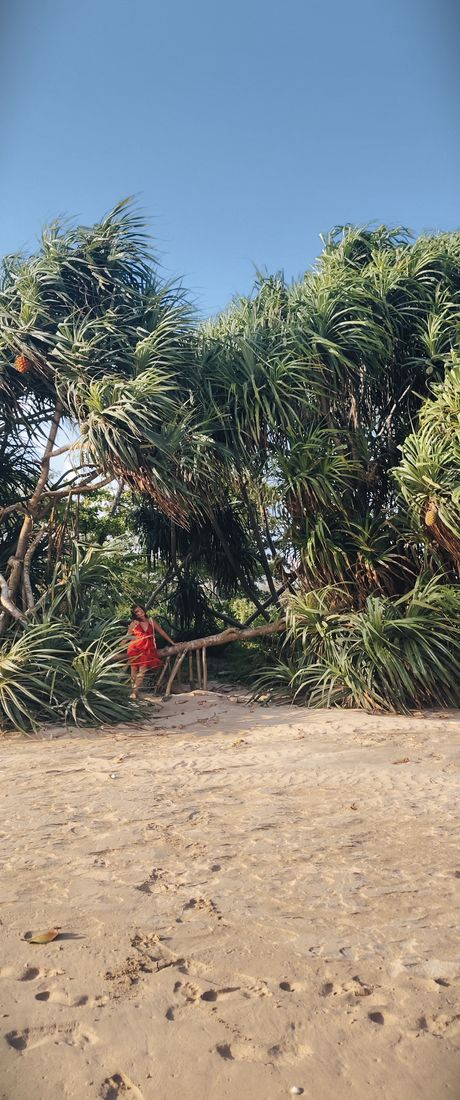 Exploring the mangroves in a red dress, Sri Lanka