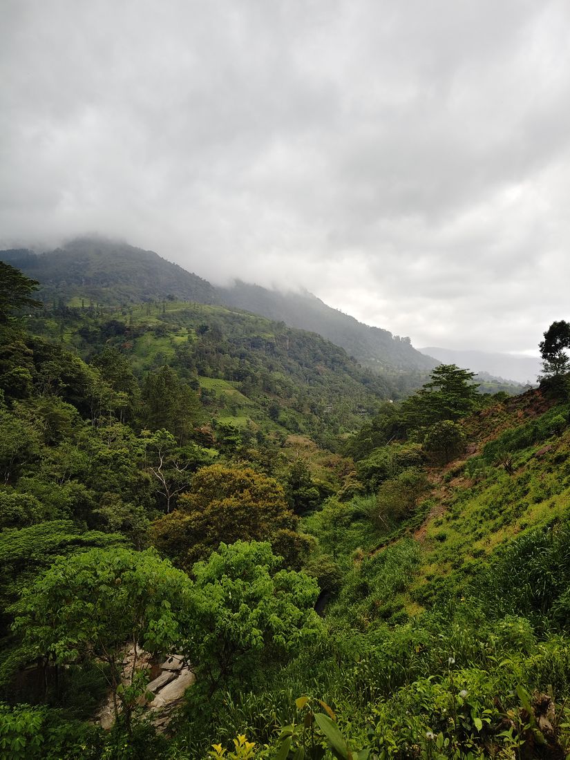 Misty hills in the highlands, Sri Lanka