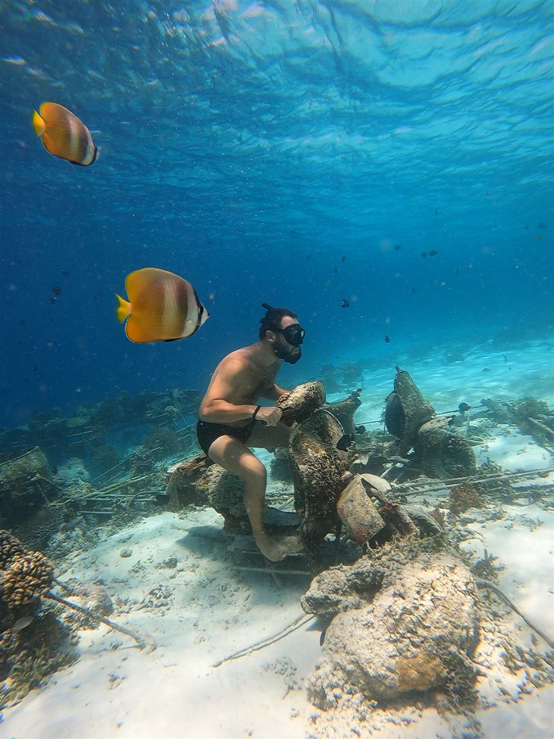 Snorkelling the reef at Gili Air, Bali