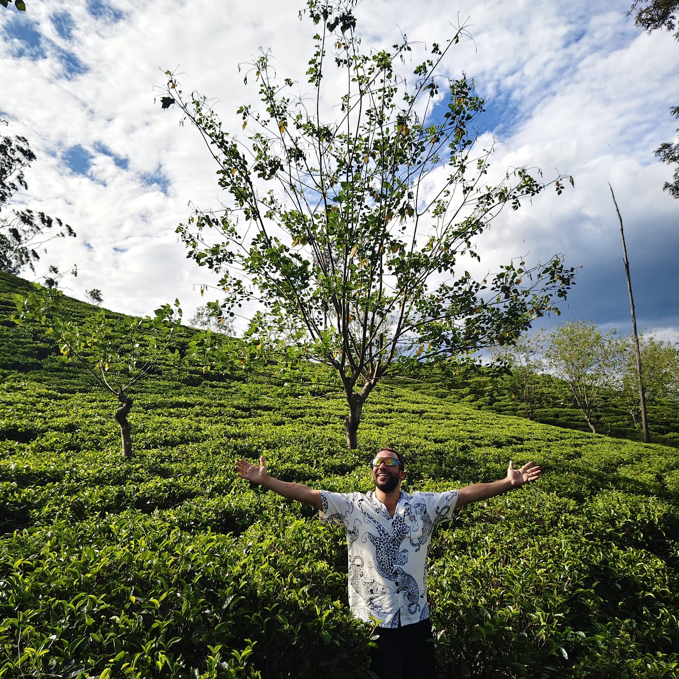 Tea country, Sri Lanka