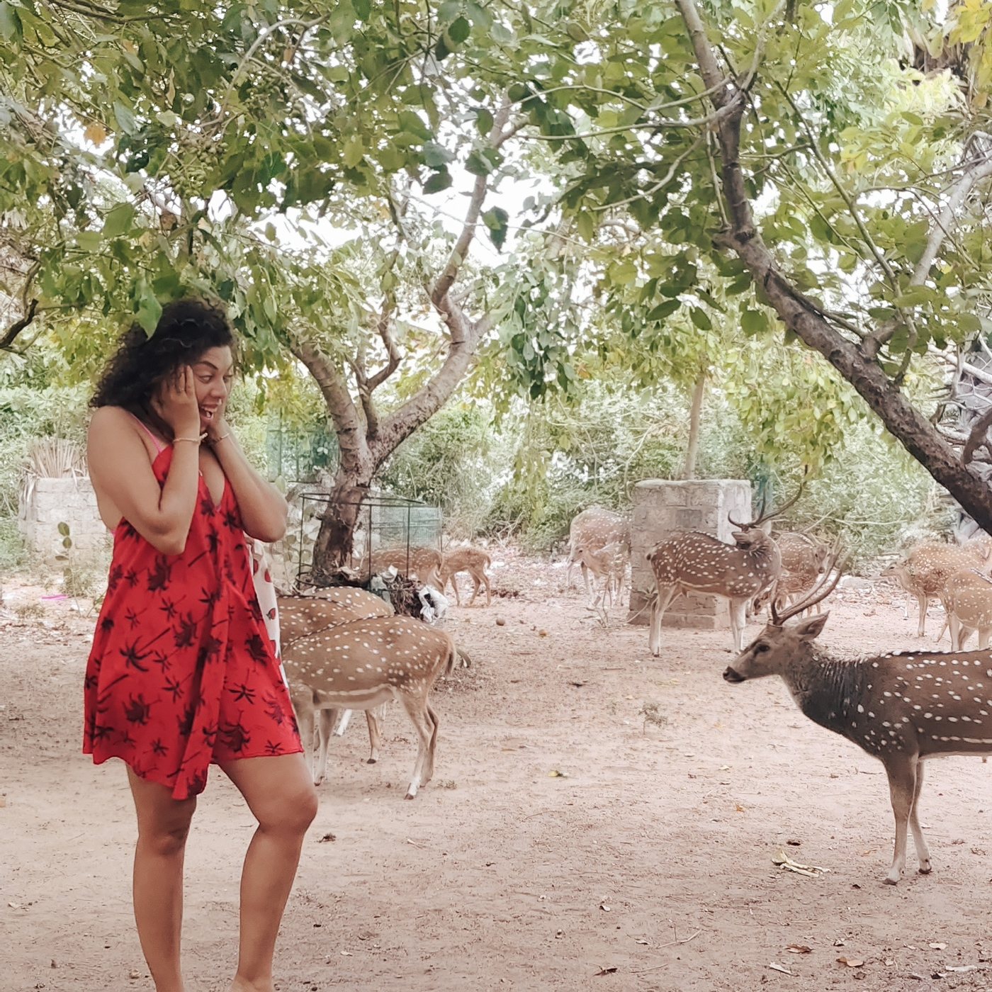Safari at Yala, Sri Lanka